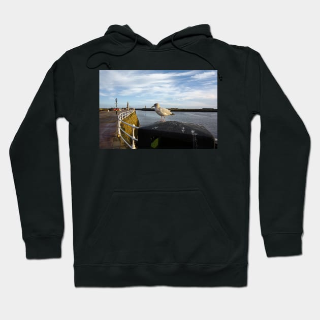 Whitby Hoodie by StephenJSmith